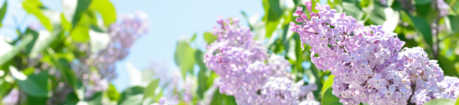 医療法人社団 大空会 大道内科・呼吸器科クリニック